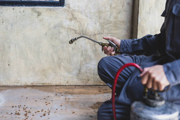 Best Pest Inspection Near Me  in Freemansburg, PA