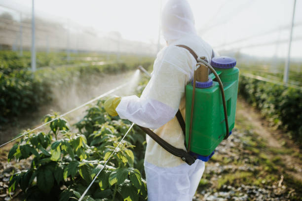 Best Best Pest Control Companies  in Freemansburg, PA